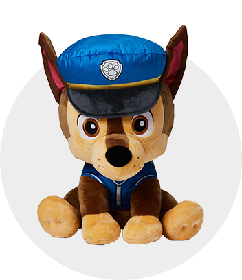 Paw patrol best sale stuff for girls